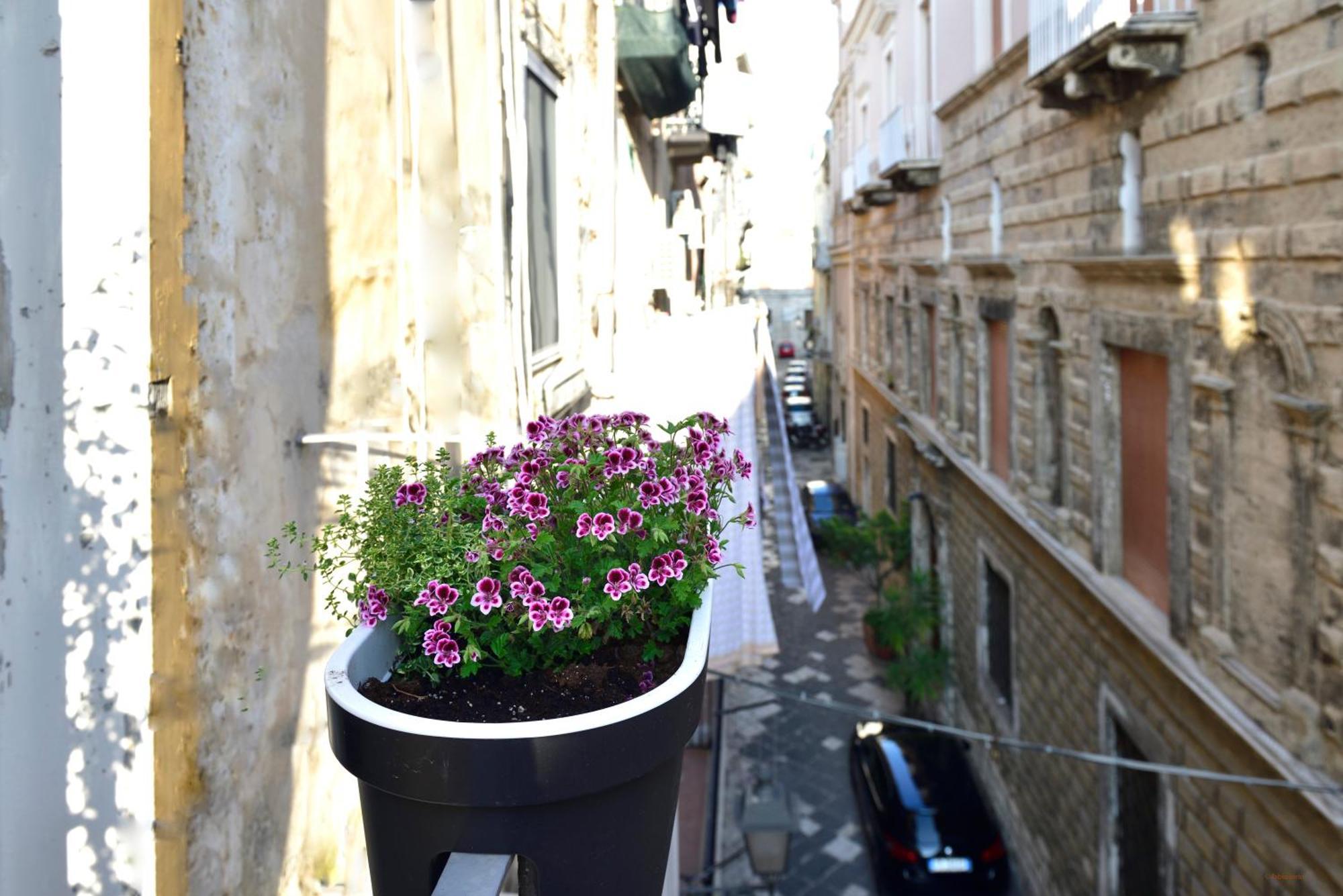 Ciaobari Apartment - Elegant 4 Bedrooms In The Heart Of Old Town المظهر الخارجي الصورة